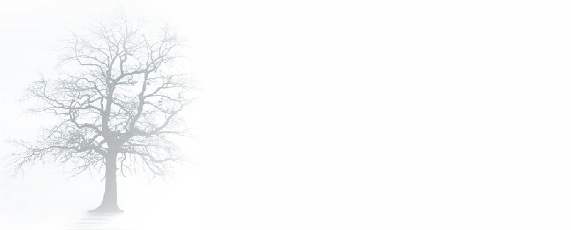Supervision Gestaltique et Analytique en ligne